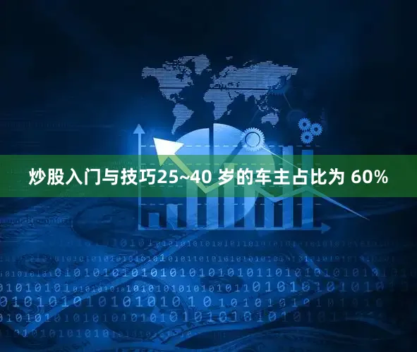 炒股入门与技巧25~40 岁的车主占比为 60%