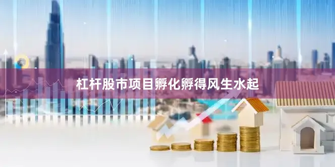 杠杆股市项目孵化孵得风生水起